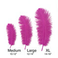 Load image into Gallery viewer, BULK 1/2lb Ostrich Feather Tail Plumes 15-20" (Fuchsia) - www.BuyOstrichFeathers.com