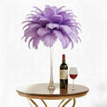 Load image into Gallery viewer, Ostrich Feather Tail Plumes 11-14" (Lavender) - www.BuyOstrichFeathers.com