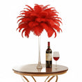 Load image into Gallery viewer, Ostrich Feather Tail Plumes 11-14" (Red) - www.BuyOstrichFeathers.com
