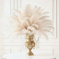 Load image into Gallery viewer, Natural White Ostrich Feathers 100 pcs. 13-17 inch Bulk Ostrich Feathers - www.BuyOstrichFeathers.com