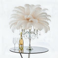 Load image into Gallery viewer, Ostrich Flexible Feathers 13-16" (White) - www.BuyOstrichFeathers.com