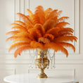 Load image into Gallery viewer, Ostrich Feather Tail Plumes 13-16" (Orange) - www.BuyOstrichFeathers.com
