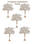 Load image into Gallery viewer, Centerpiece Rentals - Five Complete Ostrich Feather Centerpieces - www.BuyOstrichFeathers.com