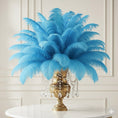 Load image into Gallery viewer, Ostrich Feather Tail Plumes 13-16" (Caribbean Blue) - www.BuyOstrichFeathers.com