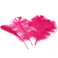 Load image into Gallery viewer, Ostrich Feather Tail Plumes 17-20" (Fuchsia) - www.BuyOstrichFeathers.com