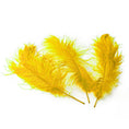 Load image into Gallery viewer, Ostrich Feather Tail Plumes 17-20" (Yellow) - www.BuyOstrichFeathers.com