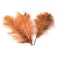 Load image into Gallery viewer, BULK 1/2lb Ostrich Feather Tail Plumes 15-20" (Copper) - www.BuyOstrichFeathers.com