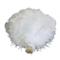 Load image into Gallery viewer, Ostrich Flexible Feathers 13-16" (White) - www.BuyOstrichFeathers.com