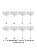 Load image into Gallery viewer, Budget-Friendly 8-Pack Centerpiece Combo - www.BuyOstrichFeathers.com