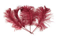 Load image into Gallery viewer, Ostrich Feather Tail Plumes 17-20" (Burgundy) - www.BuyOstrichFeathers.com