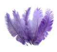 Load image into Gallery viewer, Ostrich Feather Spad Plumes 15-18" (Lavender) - Buy Ostrich Feathers