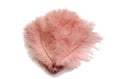 Load image into Gallery viewer, Ostrich Flexible Feathers 13-16" (Baby Pink) - Buy Ostrich Feathers