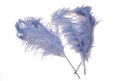 Load image into Gallery viewer, Complete Feather Centerpiece With 16" Vase (Baby Blue) - Buy Ostrich Feathers