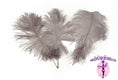 Load image into Gallery viewer, Complete Feather Centerpiece With 20" Vase (Grey/Silver) - Buy Ostrich Feathers
