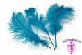 Load image into Gallery viewer, Complete Feather Centerpiece With 20" Vase (Turquoise) - Buy Ostrich Feathers