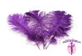 Load image into Gallery viewer, Complete Feather Centerpiece With 24" Vase (Purple) - Buy Ostrich Feathers