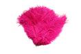 Load image into Gallery viewer, Ostrich Flexible Feathers 13-16" (Fuschia) - Buy Ostrich Feathers