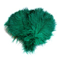 Load image into Gallery viewer, BULK 1/2lb Ostrich Feather Tail Plumes 15-20" (Emerald Green) - Buy Ostrich Feathers