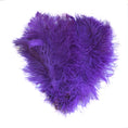 Load image into Gallery viewer, BULK 1/2lb Ostrich Feather Tail Plumes 15-20" (Purple) - Buy Ostrich Feathers