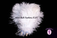 Load image into Gallery viewer, BULK 1/2lb Ostrich Feather Tail Plumes 15-20" (White) - Buy Ostrich Feathers