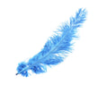 Load image into Gallery viewer, Ostrich Feather Spad Plumes 16-20" (Baby Blue) - Buy Ostrich Feathers