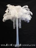 Load image into Gallery viewer, Ostrich Feather Tail Plumes 13-16" (White) - Buy Ostrich Feathers