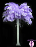 Load image into Gallery viewer, Ostrich Feather Tail Plumes 15-18" (Lavender) - Buy Ostrich Feathers