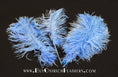 Load image into Gallery viewer, Ostrich Feather Tail Plumes 9-12" (Baby Blue) - Buy Ostrich Feathers