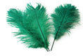 Load image into Gallery viewer, Ostrich Feather Tail Plumes 9-12" (Emerald Green) - Buy Ostrich Feathers