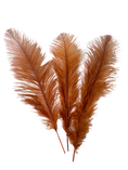 Load image into Gallery viewer, Ostrich Feather Spad Plumes 16-20" (Copper) - Buy Ostrich Feathers