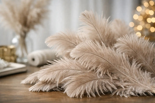 Ostrich Drab Feathers for Softer, Fuller Designs
