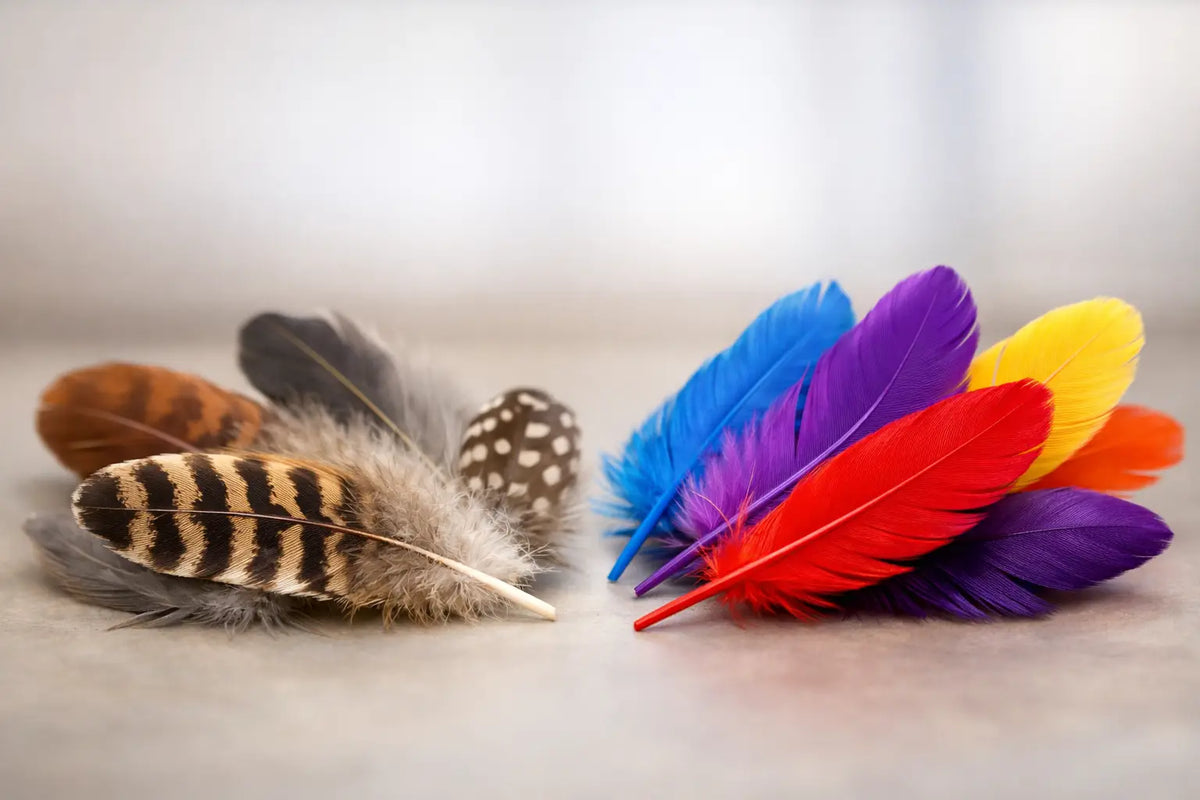 Natural Versus Dyed Feathers: Which Look Wins?