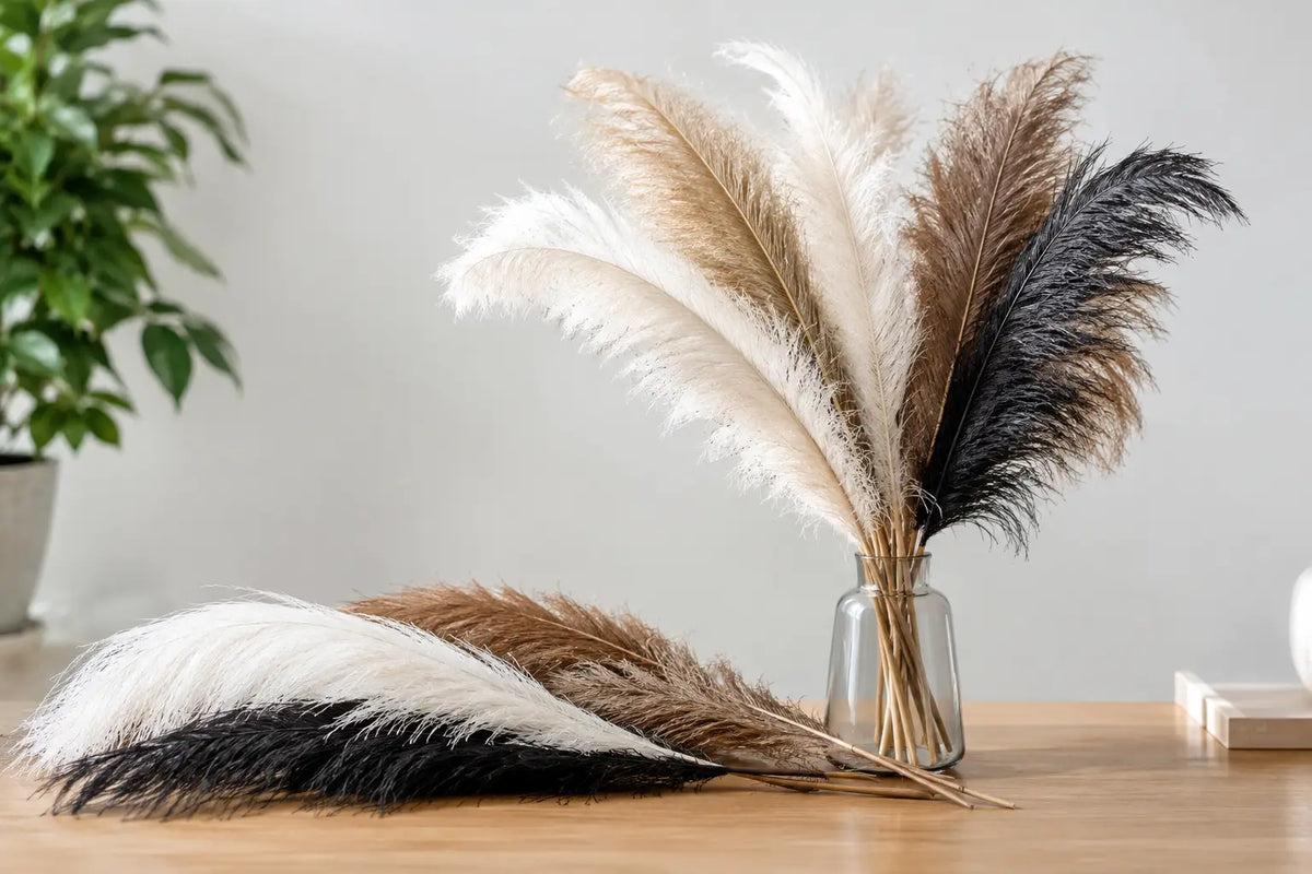What Are Spad Plumes? Uses, Sizes, and Style