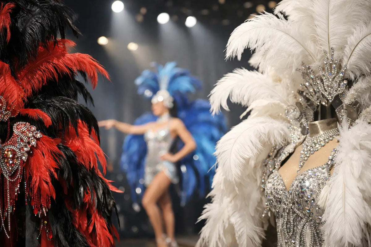 Feathers for Stage Costumes That Command Attention