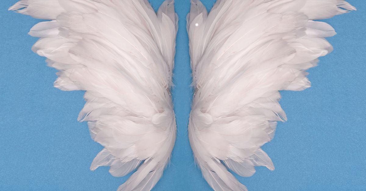 Angel Wings