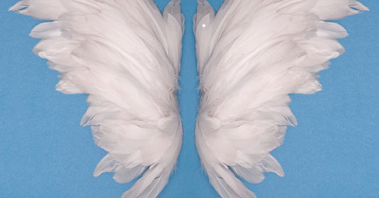 Angel Wings
