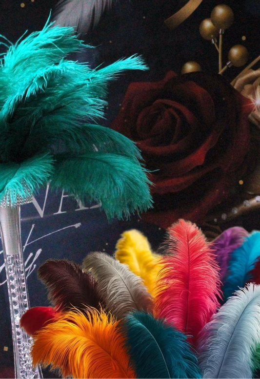 ostrich feather accessories