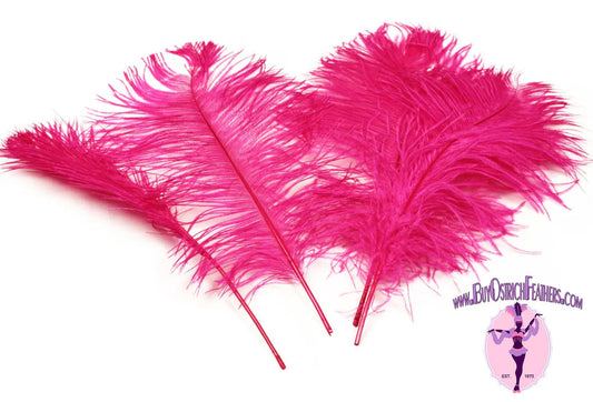 Ostrich Feather Tail Plumes Fuchsia