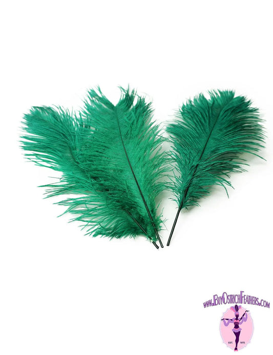 Ostrich Feather Tail Plumes