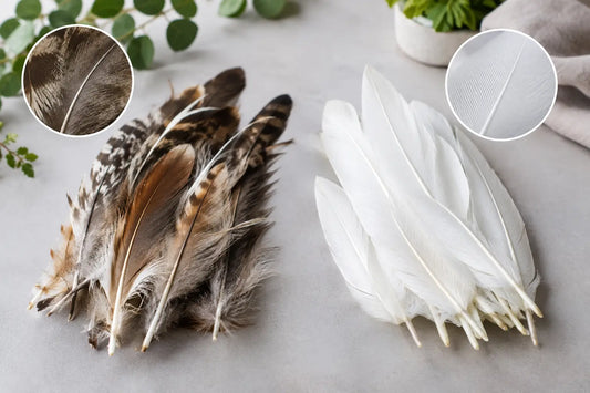 Real Versus Faux Feathers: What Looks Best?