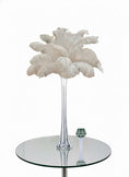 Load image into Gallery viewer, Complete Feather Centerpiece With 20" Vase (White) - www.BuyOstrichFeathers.com
