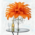 Load image into Gallery viewer, Ostrich Flexible Feathers 13-16" (Orange) - www.BuyOstrichFeathers.com
