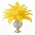 Load image into Gallery viewer, Ostrich Feather Rental 16-20" (Yellow) - 250pcs - www.BuyOstrichFeathers.com
