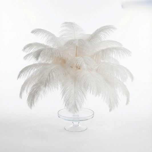 Ostrich Feather Tail Plumes 9-12" (White) - www.BuyOstrichFeathers.com
