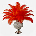 Load image into Gallery viewer, Ostrich Flexible Feathers 11-14" (Red) - www.BuyOstrichFeathers.com
