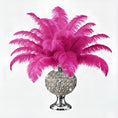 Load image into Gallery viewer, Ostrich Flexible Feathers 11-14" (Fuchsia) - www.BuyOstrichFeathers.com
