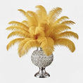 Load image into Gallery viewer, Ostrich Flexible Feathers 11-14" (Gold) - www.BuyOstrichFeathers.com

