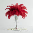 Load image into Gallery viewer, Ostrich Flexible Feathers 9-12" (Red) - www.BuyOstrichFeathers.com
