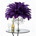 Load image into Gallery viewer, Ostrich Centerpiece Feathers 15-18" (Plum) - www.BuyOstrichFeathers.com
