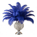 Load image into Gallery viewer, Ostrich Flexible Feathers 11-14" (Royal Blue) - www.BuyOstrichFeathers.com
